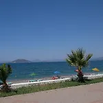 Mutlu 2*