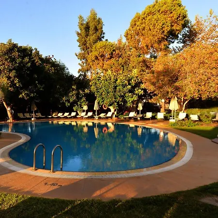 Hotell Mutlu 2*
