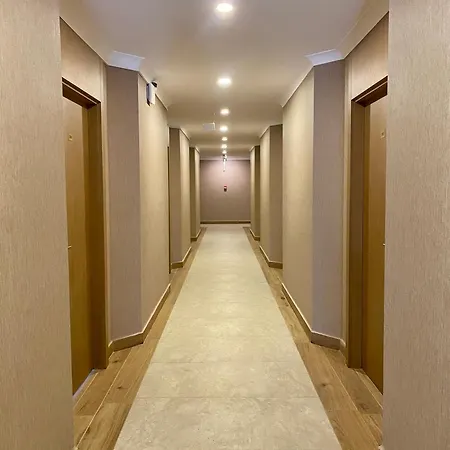 穆特鲁酒店 酒店 2*